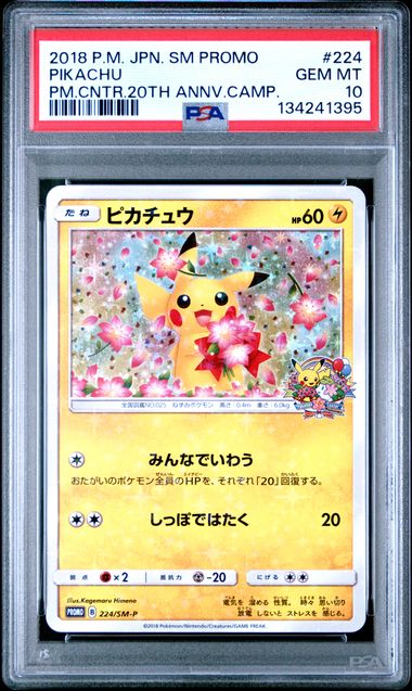 PSA 10 Pikachu Japanese SM Promo 224/SM-P