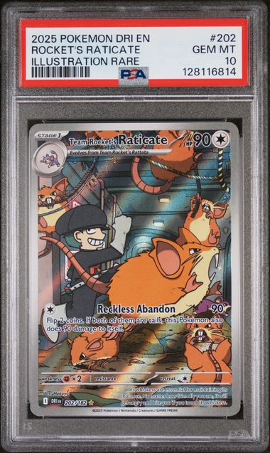 PSA 10 Rocket's Raticate Destined Rivals 202/182