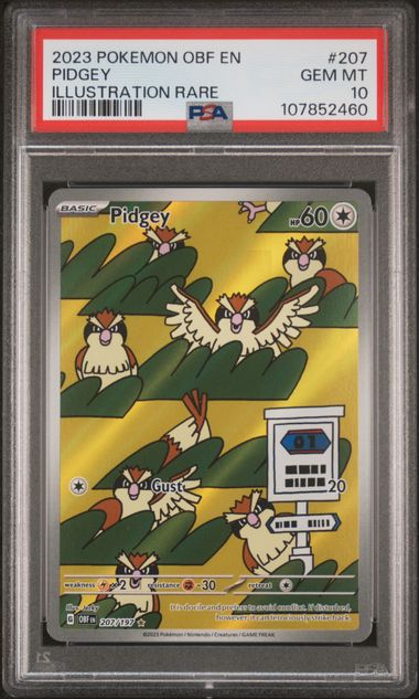 PSA 10 Pidgey Obsidian Flames 207/197
